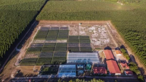 Eletrogoes Florestal