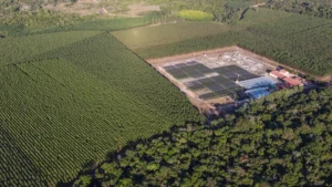 Eletrogoes Florestal Floresta